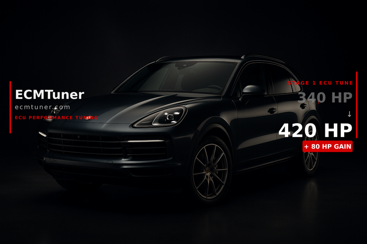 2018 Porsche Cayenne S 4.0T S E-Hybrid Tune