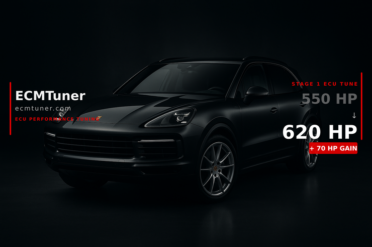 Porsche E3.1 Cayenne Turbo S E-Hybrid 2022 Custom ECU Tune